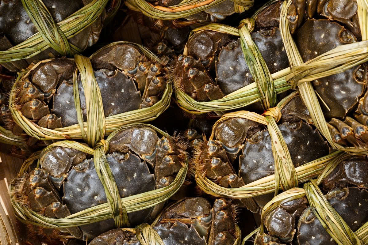Cua lông (cà rà)
